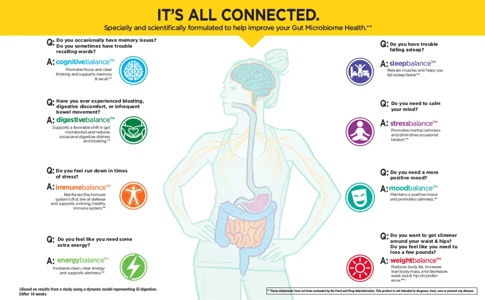 Country Life Gut Connection Cognitive Balance 60 Vegan Capsules - gut connection2