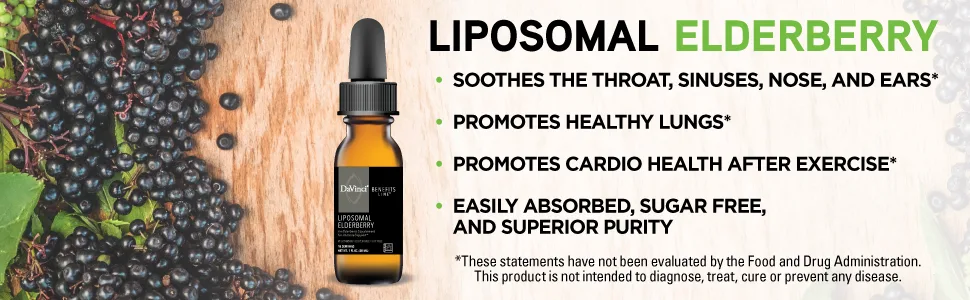 DaVinci Laboratories of Vermont Liposomal Elderberry 1 fl oz (30 ml) - Liposomal Elderberry