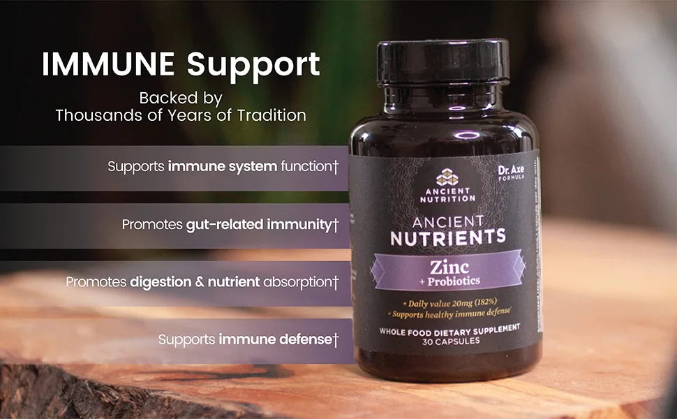 Dr. Axe / Ancient Nutrition Ancient Nutrients Zinc + Probiotics 30 Capsules - Zinc + Probiotics