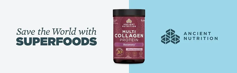 Dr. Axe / Ancient Nutrition Multi Collagen Protein Rest + Recovery Calming Natural Mixed Berry 10.5 oz (300 g) - mcp recovery