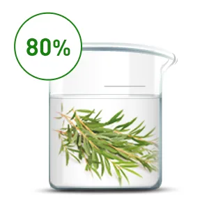 Dr. Ceuracle Tea Tree Purifine 80 Cream 1.76 oz (50 g) - Tea Tree