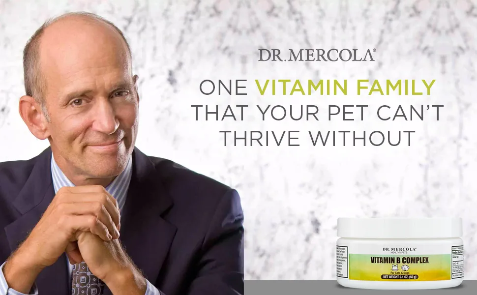 Dr. Mercola  Vitamin B Complex For Cats & Dogs 0.84 oz (24 g) - Vitamin B