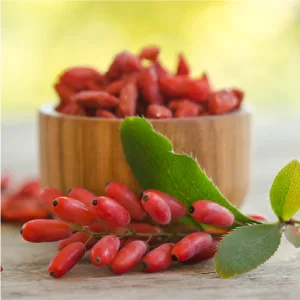 Dr. Whitaker Berberine + GlucoGOLD 90 Tablets - image of barberries