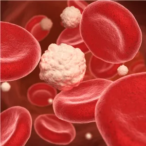 Dr. Whitaker Berberine + GlucoGOLD 90 Tablets - image of red blood cells