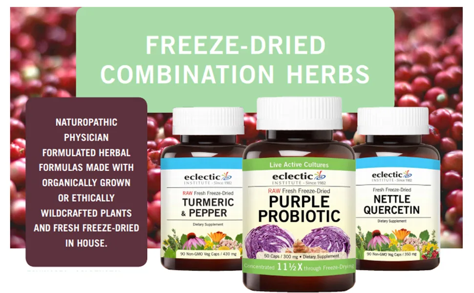 Eclectic Institute Raw Fresh Freeze-Dried Cranberry 300 mg 120 Non-GMO Veg Caps - Eclectic
