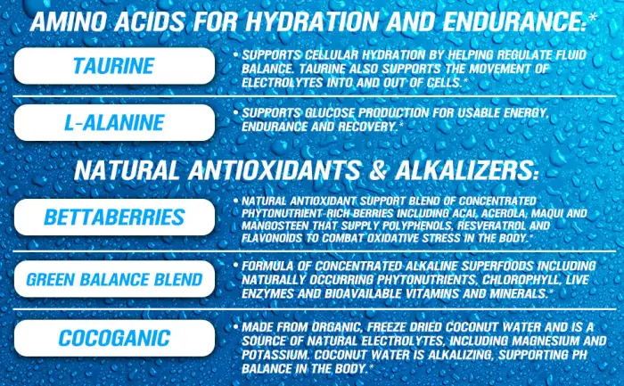 EVLution Nutrition Hydramino Orange Mango 11.01 oz (312 g) - amino acids hydration endurance taurine l-alanine bettaberries green balance blend cocoganic