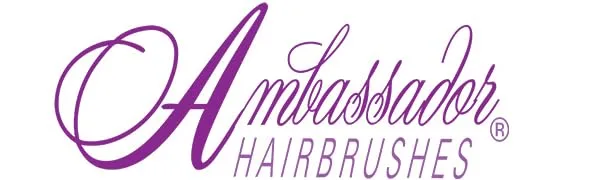Fuchs Brushes Ambassador Hairbrushes Bamboo Large Oval/Wood Pins 1 Brush - Ambassador Hairbrushes