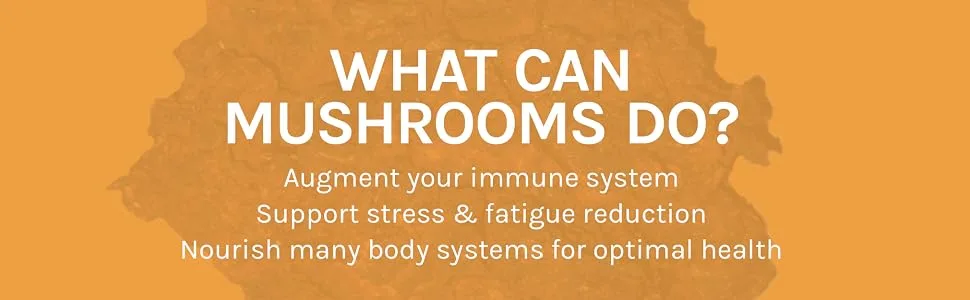 Fungi Perfecti Chaga 60 Vegetarian Capsules - What Can Mushrooms Do? Augment your immune system Support stress & fatigue reduction