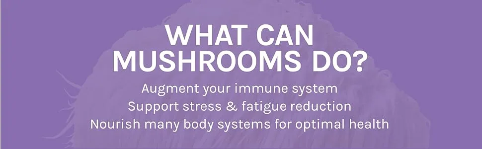 Fungi Perfecti Lion's Mane Memory & Nerve Support 120 Vegetarian Capsules - WHAT CAN MUSHROOMS DO? Augment your immune system Support stress & fatigue reduction