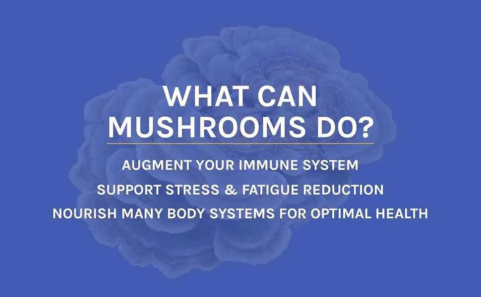Fungi Perfecti Stamets 7 Mushroom Mycelium Powder Daily Immune Support 3.5 oz (100 g) - mushrooms
