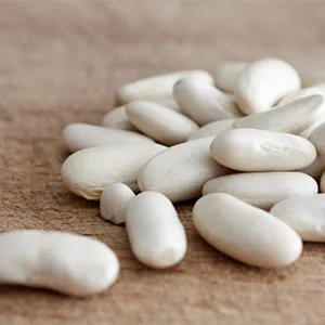 FutureBiotics White Kidney Bean Extract 100 Capsules - product information 3