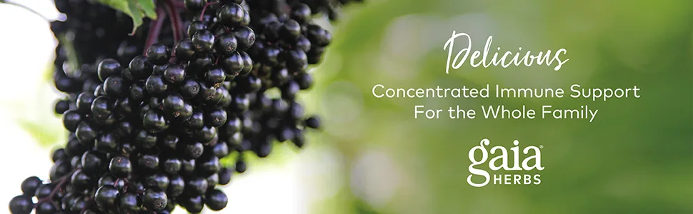 Gaia Herbs Professional Solutions Black Elderberry 60 Powder-Filled Capsules - Gaia Herbs Black Elderberry - Delicious Concentrated Immune Support for the Whole Family