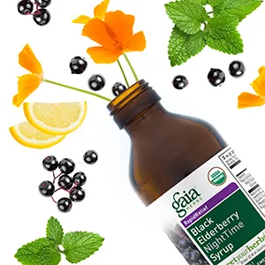 Gaia Herbs Professional Solutions Black Elderberry 60 Powder-Filled Capsules - Gaia Herbs Black Elderberry Nighttime Syrup Bottle Image