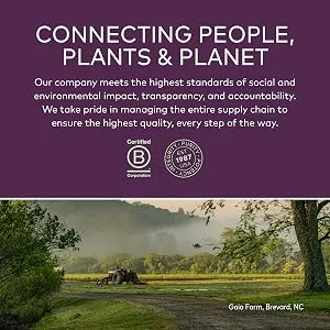 Gaia Herbs Black Elderberry Extra Strength Immune Support Gummies 80 Vegan Gummies - product information 5