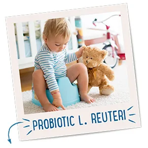 Gerber Good Start Grow  Toddler Digestive & Immune Support Probiotic  Ages 1+ 30 Single Serve Packets - Probiotic L. Reuteri