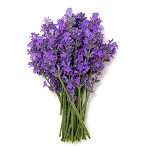 Himalaya Botanique Body Bar Refreshing Lavender & Rosemary 4.41 oz (125 g) - LAVENDER
