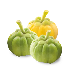 Himalaya Garcinia 60 Caplets - GARCINIA