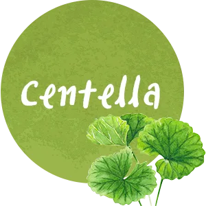 Huangjisoo Centella Repairing Beauty Mask 1 Sheet 25 ml - centella