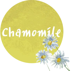 Huangjisoo Centella Repairing Beauty Mask 1 Sheet 25 ml - chamomile