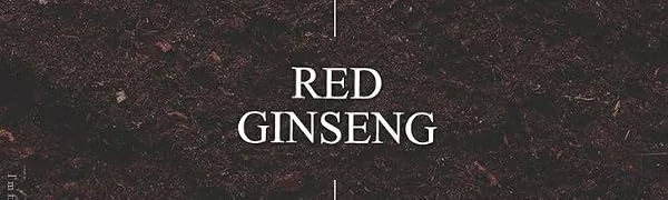 I'm From Ginseng Serum 30 ml - ginseng