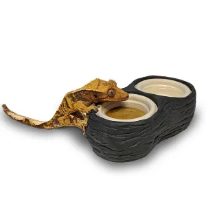 Pangea Fruit Mix Fig & Insects Crested Gecko Complete Diet (1/2 lb) - reptile with food