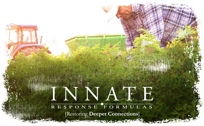 Innate Response Formulas Men Over 40 One Daily Iron Free 60 Tablets - product information 2