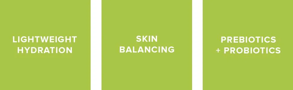 InstaNatural Hyaluronic Oil Free Moisturizer 1.7 fl oz (50 ml) - instanatural moisturizer, mattifying moisturizer, oily skin moisturizer, oil control skin products