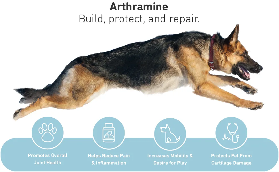 International Veterinary Sciences Arthramine Glucosamine Supplement For Large Dogs Beef 120 Chewable Tablets - Arthramine. Build, protect, and repair.