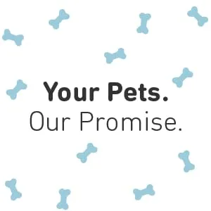 International Veterinary Sciences Arthramine Glucosamine Supplement For Large Dogs Beef 120 Chewable Tablets - Your Pets. Our Promise.