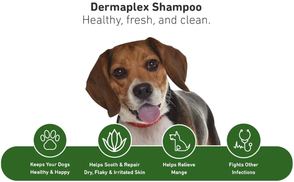 International Veterinary Sciences Dermaplex Skin & Coat Support Shampoo For Dogs & Puppies Fresh Scent 8 fl oz ( 236 ml) - Dermaplex shampoo. Fresh, healthy, and clean