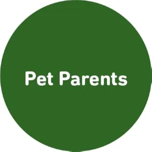 International Veterinary Sciences Dermaplex Skin and Coat Support Shampoo For Dogs & Puppies Fresh Scent 16 fl oz ( 473 ml) - Pet Parents