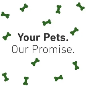 International Veterinary Sciences Dermaplex Skin and Coat Support Shampoo For Dogs & Puppies Fresh Scent 16 fl oz ( 473 ml) - Your Pets. Our Promise.