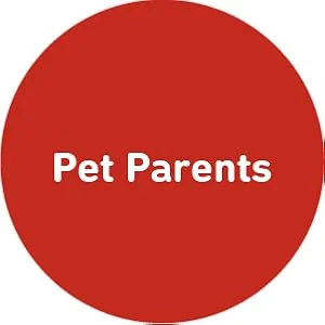 International Veterinary Sciences Lipiderm Healthy Skin & Coat For Large Dogs 60 Soft Gels - Pet Parents