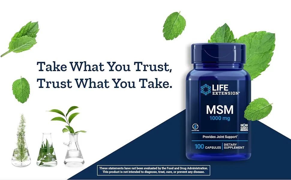 Life Extension MSM 1000 mg 100 Capsules - life extension