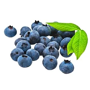 Mariani Dried Fruit Premium Wild Blueberries 3.5 oz (99 g) - Antioxidant-Rich