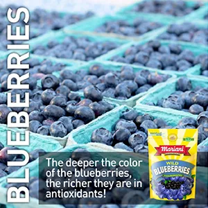 Mariani Dried Fruit Premium Wild Blueberries 3.5 oz (99 g) - Mariani Wild Blueberries