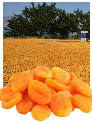 Mariani Dried Fruit Premium Mediterranean Apricots 6 oz (170 g) - Sweet Apricots
