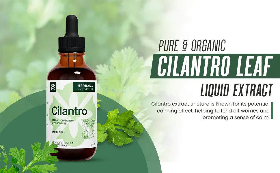 HERBANA MANUFACTURING Cilantro Leaf Drops for Body Cleansing and Detox - 4 Fl Oz. - herb Cilantro antioxidants Extract Drops Detox calming nervous system cleanse detoxification memory