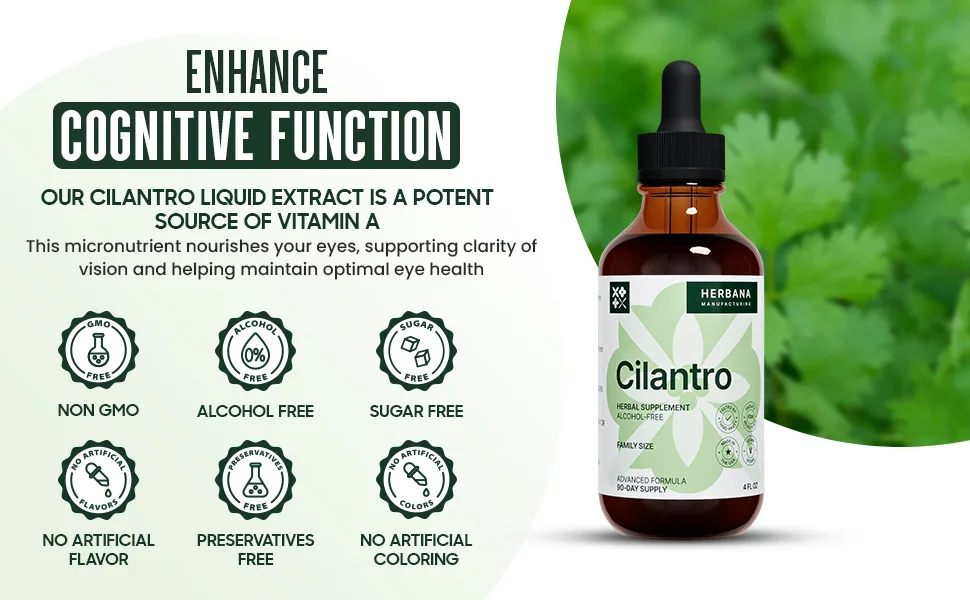 HERBANA MANUFACTURING Cilantro Leaf Drops for Body Cleansing and Detox - 4 Fl Oz. - herb Cilantro antioxidants Extract Drops Detox calming nervous system cleanse detoxification memory