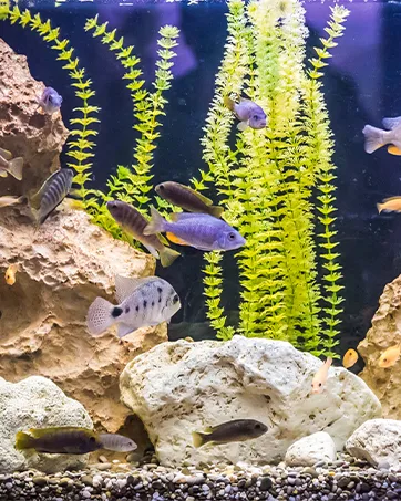 VOCOSTE Silicone Glowing Aquarium Simulation Coral with Sucker Blue - Aquarium Decorations