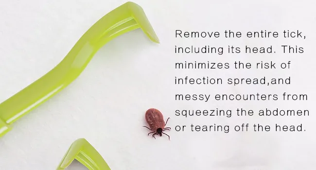 HouChanges 3Pcs Tick Remover Tool Painlessly Tick for Dogs Cats and Humans Pets Green Tick Hook Green - TICK REMOVER