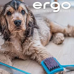 Ancol Ergo Universal Slicker Brush Medium Medium Single - A spaniel posing next to an Ancol dog comb and brush