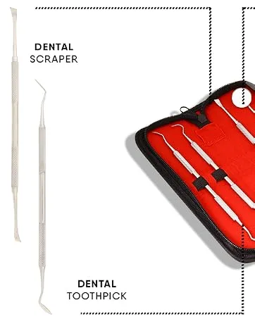 Toe Nail File & Lifter Kit Double Ended INGROWN SIDE EDGES Chiropody Podiatry SS - Tooth care tools
