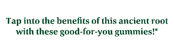 MegaFood Turmeric Inflammation Response 40 Gummies - product information 1