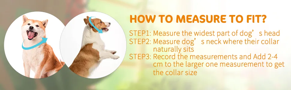 HAPPY HACHI Half Check Dog Collar Martingale Dog Chain Collars Semi Choke All Metal for Puppy Dogs Medium Large Training Walking Pulling Control S 30-43cm S 30-43cm*2mm Silver - dog choke collar