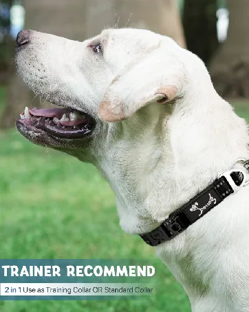 HAPPY HACHI Half Check Dog Collar Martingale Dog Chain Collars Semi Choke All Metal for Puppy Dogs Medium Large Training Walking Pulling Control S 30-43cm S 30-43cm*2mm Silver - dog collar