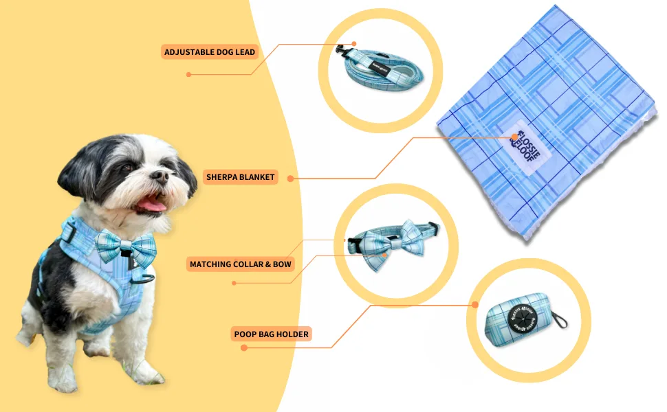Flossie And Floof Oxford Oasis Design Dog Bow Tie With Velcro To Attach To Matching Collar Or Harness - Oxford Oasis range