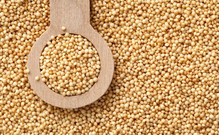 Organic Amaranth Seeds 500g - Organic Amaranth Seeds