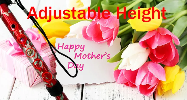 BeGrit Walking Sticks for Women Folding Walking Sticks Adjustable Walking Stick Collapsible Lightweight Flexible Stick Comfortable Grip Durable Mobility Aid for Ladies Men Red - 1452-2