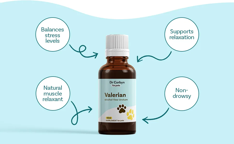Dr Corbyn Pets Valerian Drops | Calming Drops for Dogs Cats & Pets | Valerian Root Supplement for Pets Supports Relaxation & Balances Stress (50ml) - calming valerian